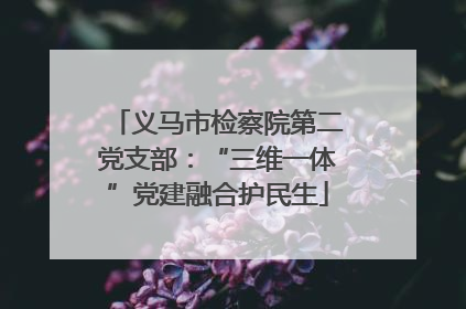 义马市检察院第二党支部：“三维一体”党建融合护民生