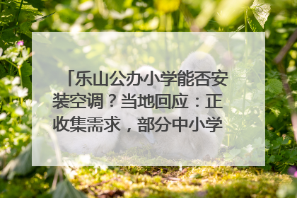 乐山公办小学能否安装空调？当地回应：正收集需求，部分中小学已启动安装｜云求助