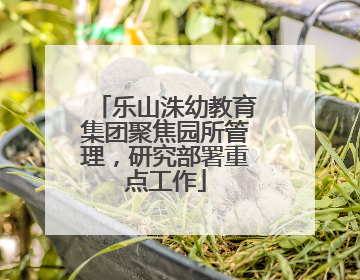 乐山洙幼教育集团聚焦园所管理，研究部署重点工作