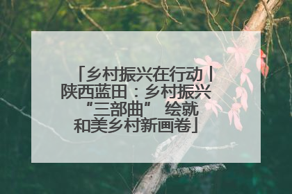 乡村振兴在行动丨陕西蓝田：乡村振兴 “三部曲” 绘就和美乡村新画卷