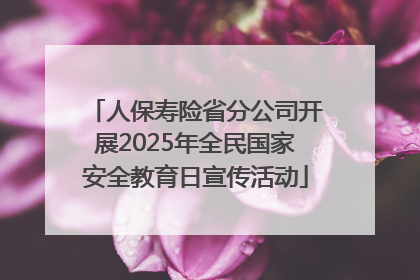 人保寿险省分公司开展2025年全民国家安全教育日宣传活动