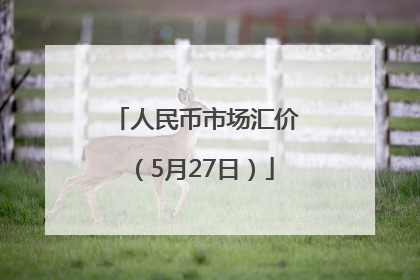 人民币市场汇价（5月27日）