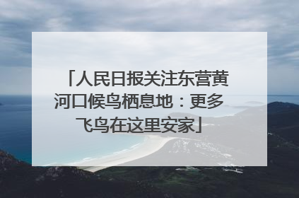 人民日报关注东营黄河口候鸟栖息地：更多飞鸟在这里安家