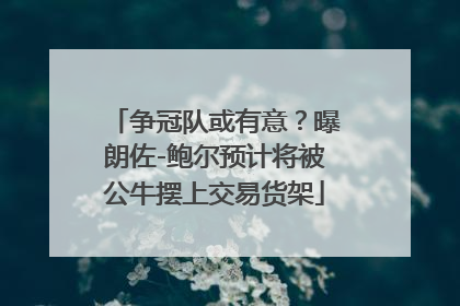 争冠队或有意？曝朗佐-鲍尔预计将被公牛摆上交易货架