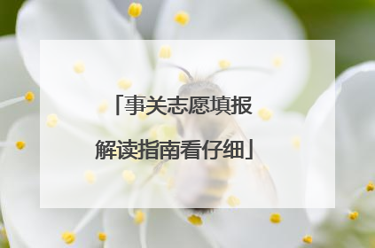 事关志愿填报 解读指南看仔细