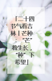 二十四节气看吉林丨芒种：“芒”着生长，“种”下希望