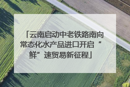 云南启动中老铁路南向常态化水产品进口开启“鲜”速贸易新征程