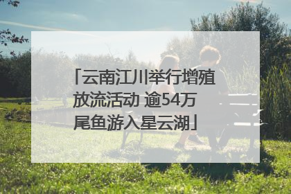 云南江川举行增殖放流活动 逾54万尾鱼游入星云湖