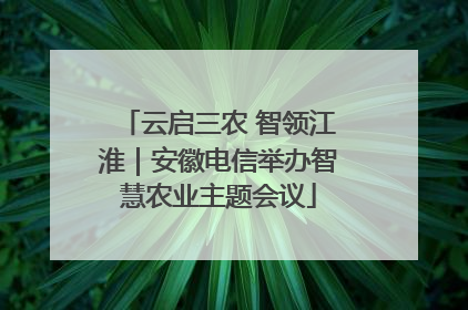 云启三农 智领江淮｜安徽电信举办智慧农业主题会议