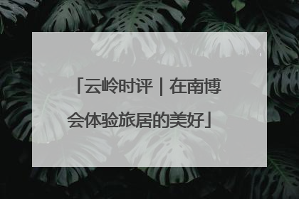 云岭时评｜在南博会体验旅居的美好