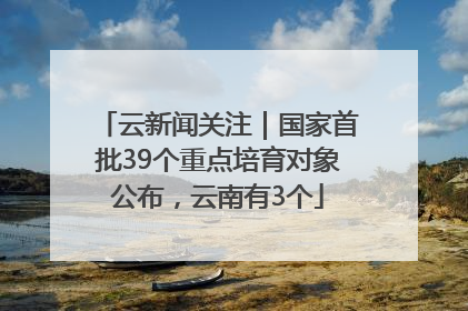 云新闻关注｜国家首批39个重点培育对象公布，云南有3个