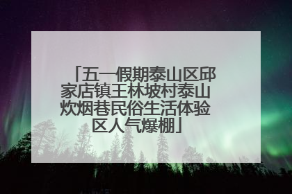 五一假期泰山区邱家店镇王林坡村泰山炊烟巷民俗生活体验区人气爆棚