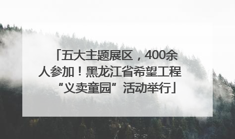 五大主题展区，400余人参加！黑龙江省希望工程“义卖童园”活动举行