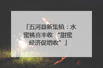 五河县新集镇：水蜜桃喜丰收 “甜蜜经济促增收”