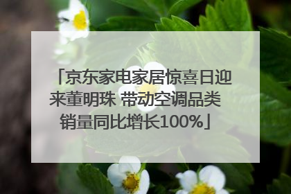 京东家电家居惊喜日迎来董明珠 带动空调品类销量同比增长100%