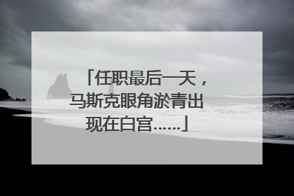 任职最后一天，马斯克眼角淤青出现在白宫……
