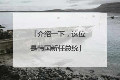 介绍一下，这位是韩国新任总统