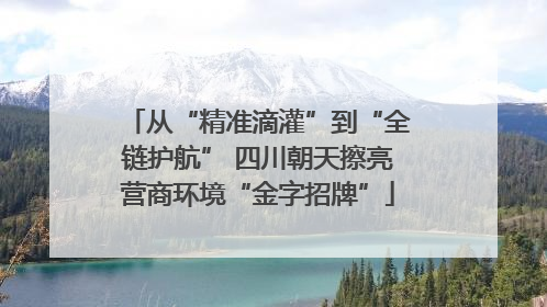 从“精准滴灌”到“全链护航” 四川朝天擦亮营商环境“金字招牌”