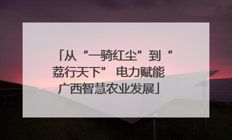 从“一骑红尘”到“荔行天下” 电力赋能广西智慧农业发展