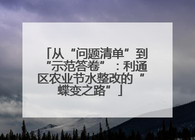 从“问题清单”到“示范答卷”：利通区农业节水整改的“蝶变之路”
