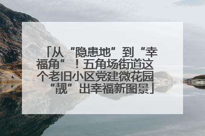 从“隐患地”到“幸福角”！五角场街道这个老旧小区党建微花园“靓”出幸福新图景