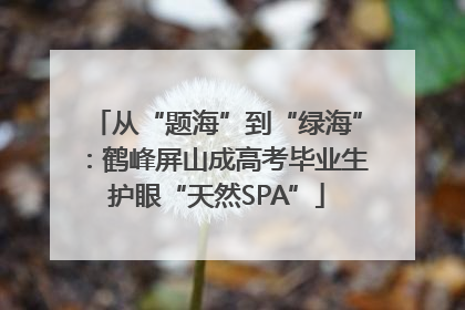 从“题海”到“绿海”：鹤峰屏山成高考毕业生护眼“天然SPA”
