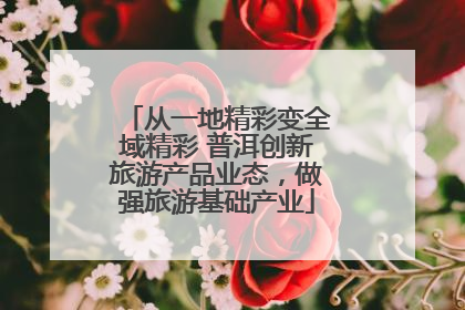 从一地精彩变全域精彩 普洱创新旅游产品业态，做强旅游基础产业
