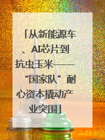 从新能源车、AI芯片到抗虫玉米——“国家队”耐心资本撬动产业突围