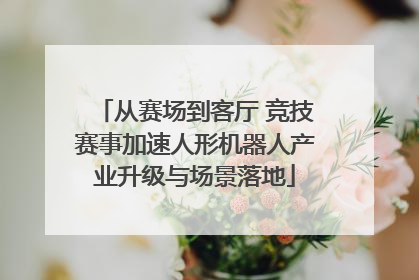 从赛场到客厅 竞技赛事加速人形机器人产业升级与场景落地