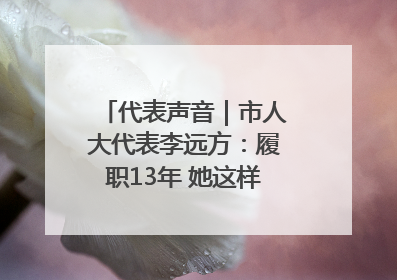 代表声音｜市人大代表李远方：履职13年 她这样“找”建议