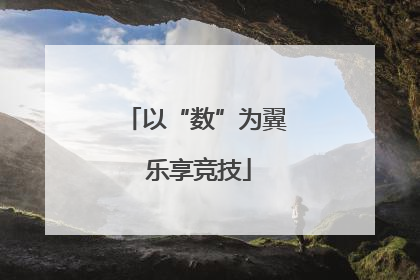 以“数”为翼 乐享竞技