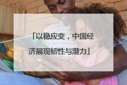 以稳应变，中国经济展现韧性与潜力