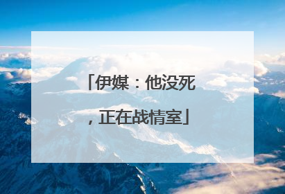伊媒：他没死，正在战情室