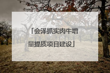 会泽抓实肉牛增量提质项目建设