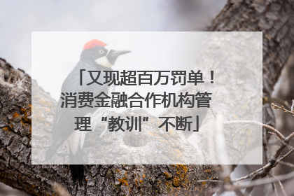 又现超百万罚单！消费金融合作机构管理“教训”不断
