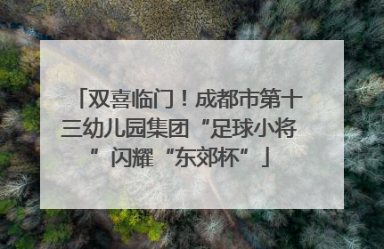 双喜临门！成都市第十三幼儿园集团“足球小将”闪耀“东郊杯”
