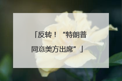 反转！“特朗普同意美方出席”