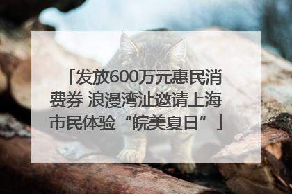 发放600万元惠民消费券 浪漫湾沚邀请上海市民体验“皖美夏日”