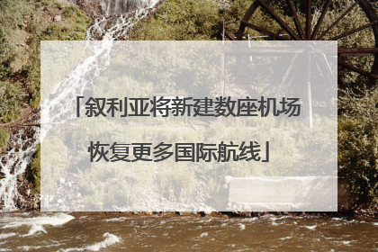 叙利亚将新建数座机场 恢复更多国际航线