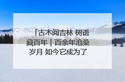 古木阅吉林 树语藏百年｜百余年沧桑岁月 如今它成为了“镇园之宝”