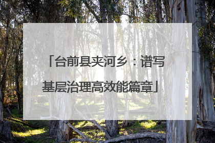台前县夹河乡：谱写基层治理高效能篇章