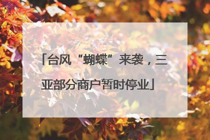 台风“蝴蝶”来袭，三亚部分商户暂时停业