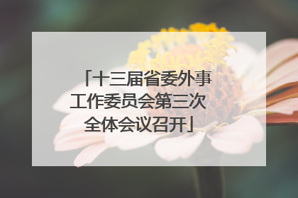 十三届省委外事工作委员会第三次全体会议召开