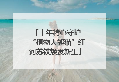 十年精心守护 “植物大熊猫”红河苏铁焕发新生