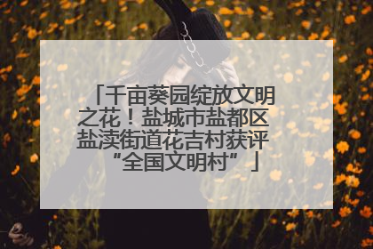 千亩葵园绽放文明之花！盐城市盐都区盐渎街道花吉村获评“全国文明村”