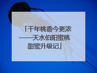 千年桃香今更浓——天水伯阳蜜桃甜蜜升级记