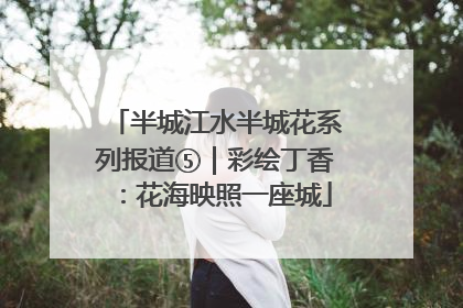 半城江水半城花系列报道⑤｜彩绘丁香：花海映照一座城