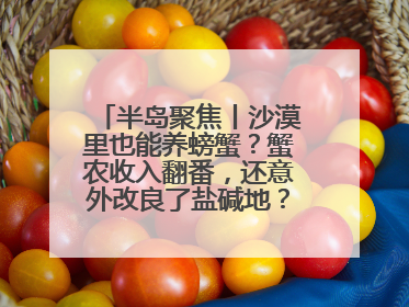 半岛聚焦丨沙漠里也能养螃蟹？蟹农收入翻番，还意外改良了盐碱地？咋做到的？