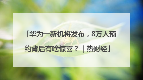 华为一新机将发布，8万人预约背后有啥惊喜？｜热财经
