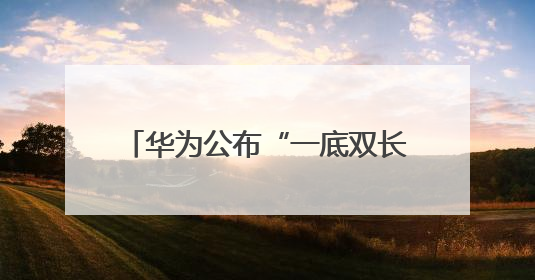 华为公布“一底双长焦”专利，将首发于Pura 80系列